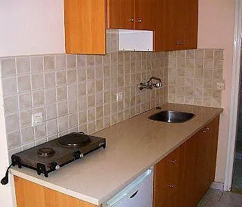 Apartment Ritsa *